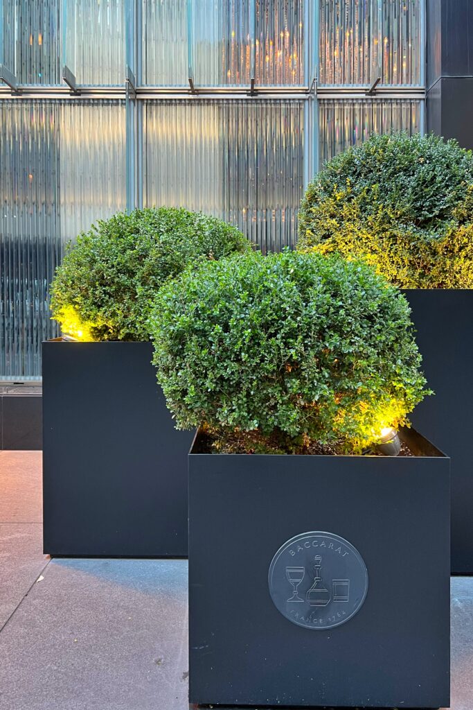 Glass facade and greenery in planters at the entrance to the Baccarat Hotel in New York City.