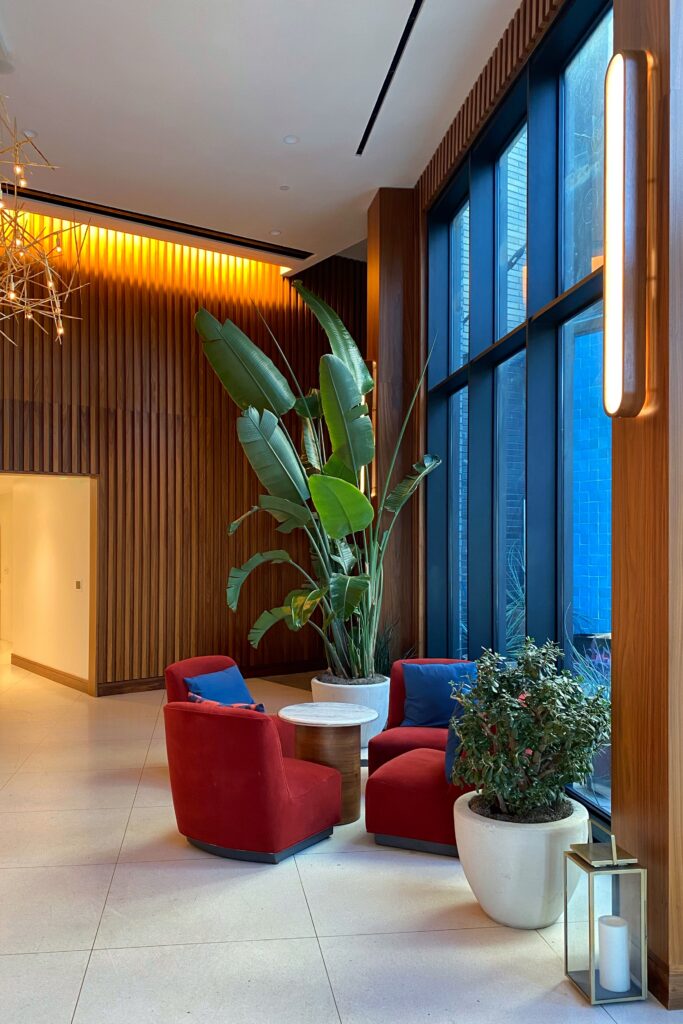 Lounge seating and potted plants in the Virgin Hotel in Dallas, Texas.