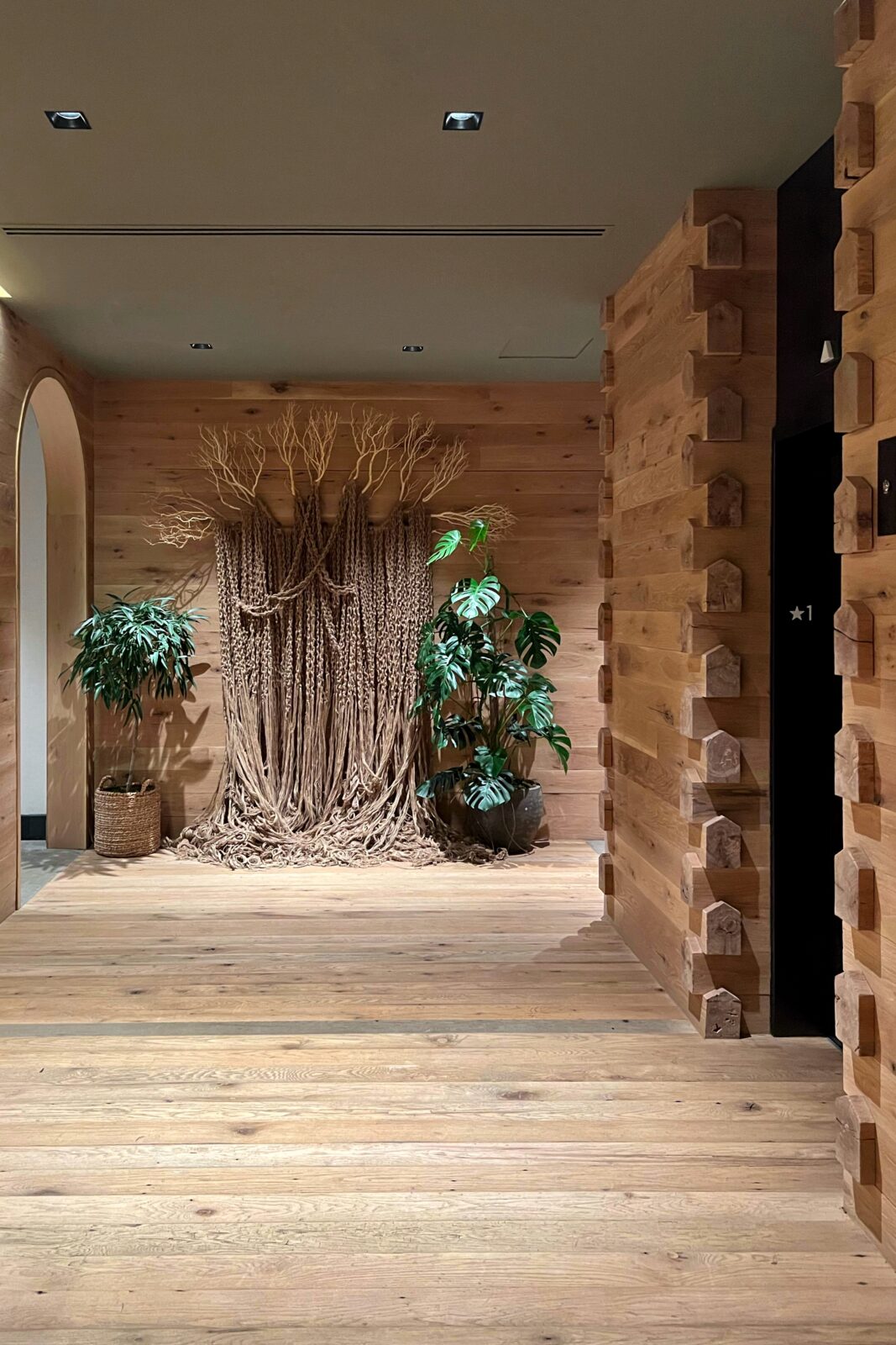 Image showcasing Inside 1 Hotel Nashville: Biophilic Interior Design & Sustainable Luxury