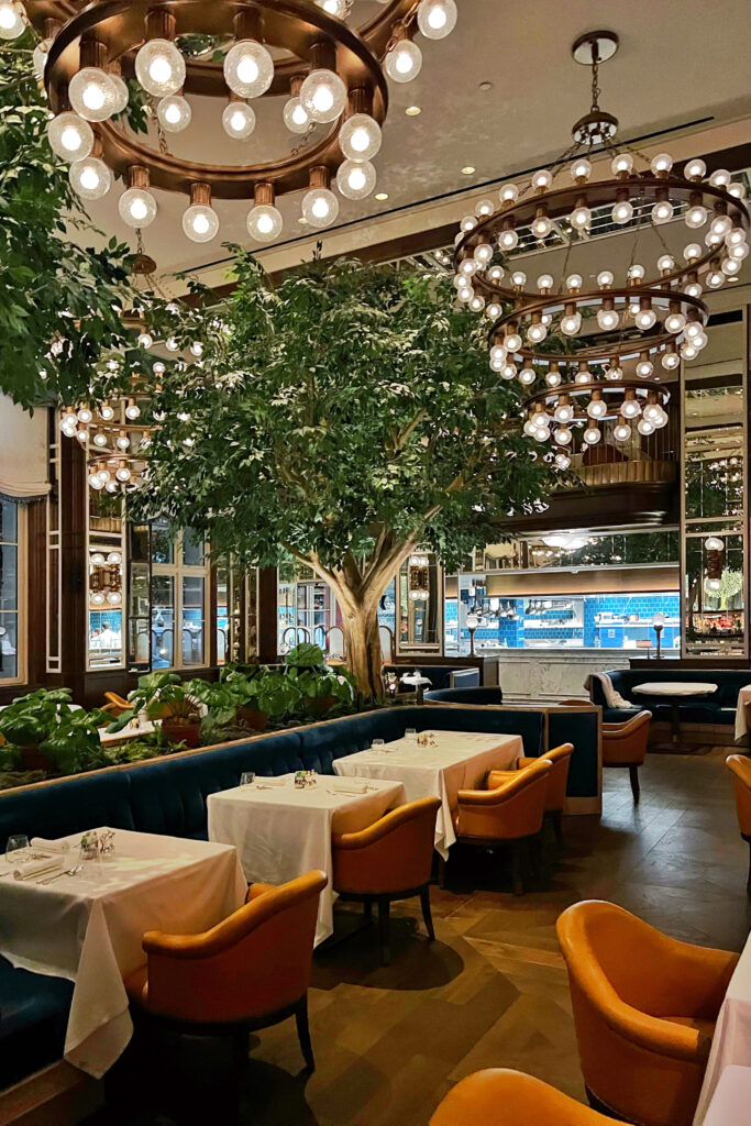 Aesthetic Travel Guide to New York City - Cafe Carnellini chandeliers, trees, and long banquette restaurant interior.