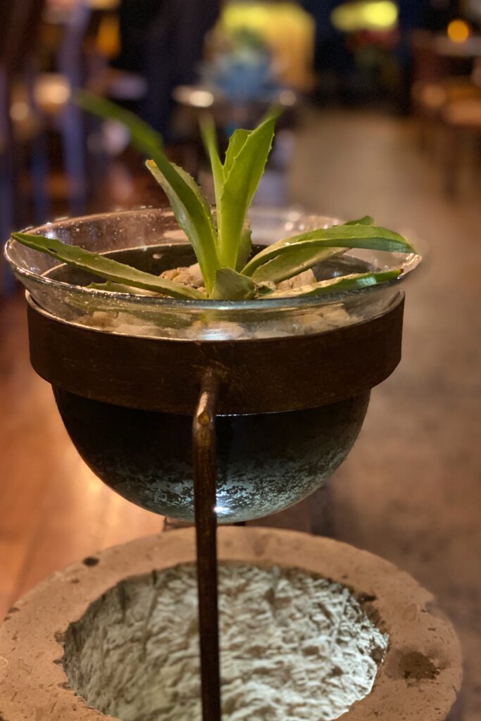 Close-up of a small agave plant in a glass and metal planter at Los Limosneros restaurant in Mexico City’s Centro Histórico. The modern rustic vessel, set against the restaurant’s warm-toned interior, reflects the earthy, design-driven aesthetic and botanical inspiration behind Mexico City’s most beautiful dining spaces.