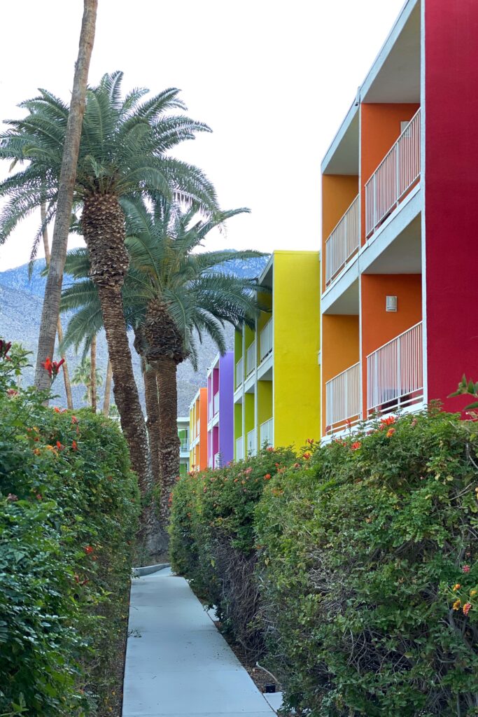 Vibrant rainbow-colored balconies at The Saguaro Palm Springs lining a garden walkway, framed by tall palm trees and desert greenery with mountain views in the background.