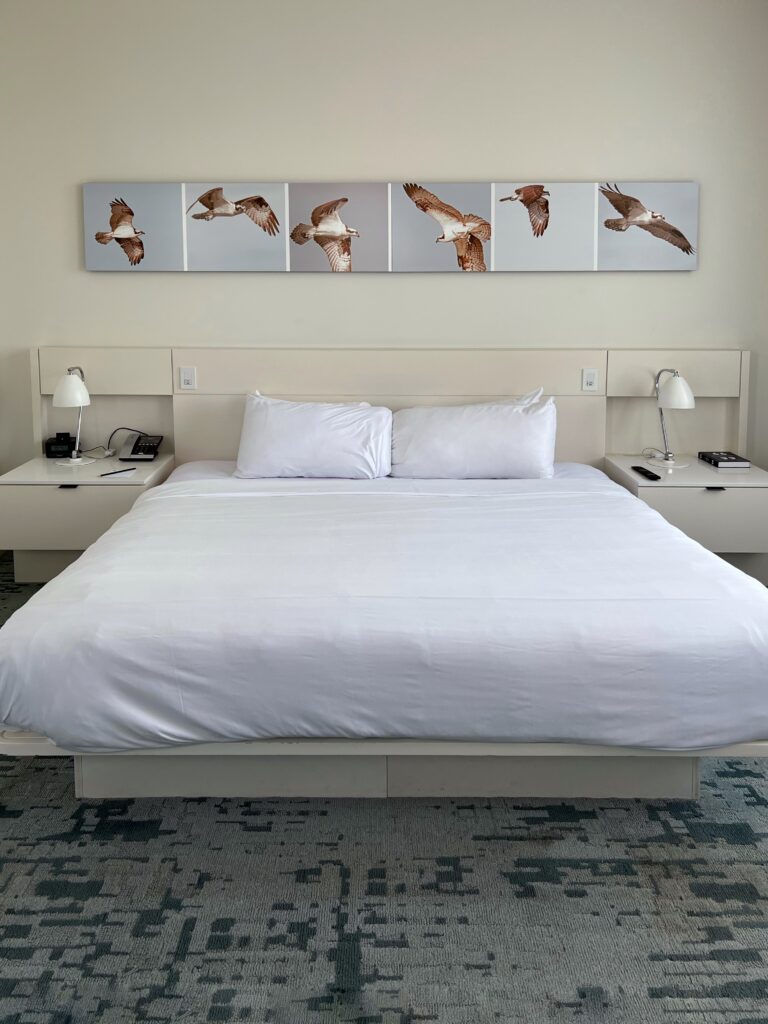 Minimalist guestroom bed at 21c Museum Hotel Lexington with crisp white linens, built-in nightstands, and matching reading lamps. A wide, panoramic artwork of birds in flight spans the wall above the headboard for a clean, art gallery-inspired look.