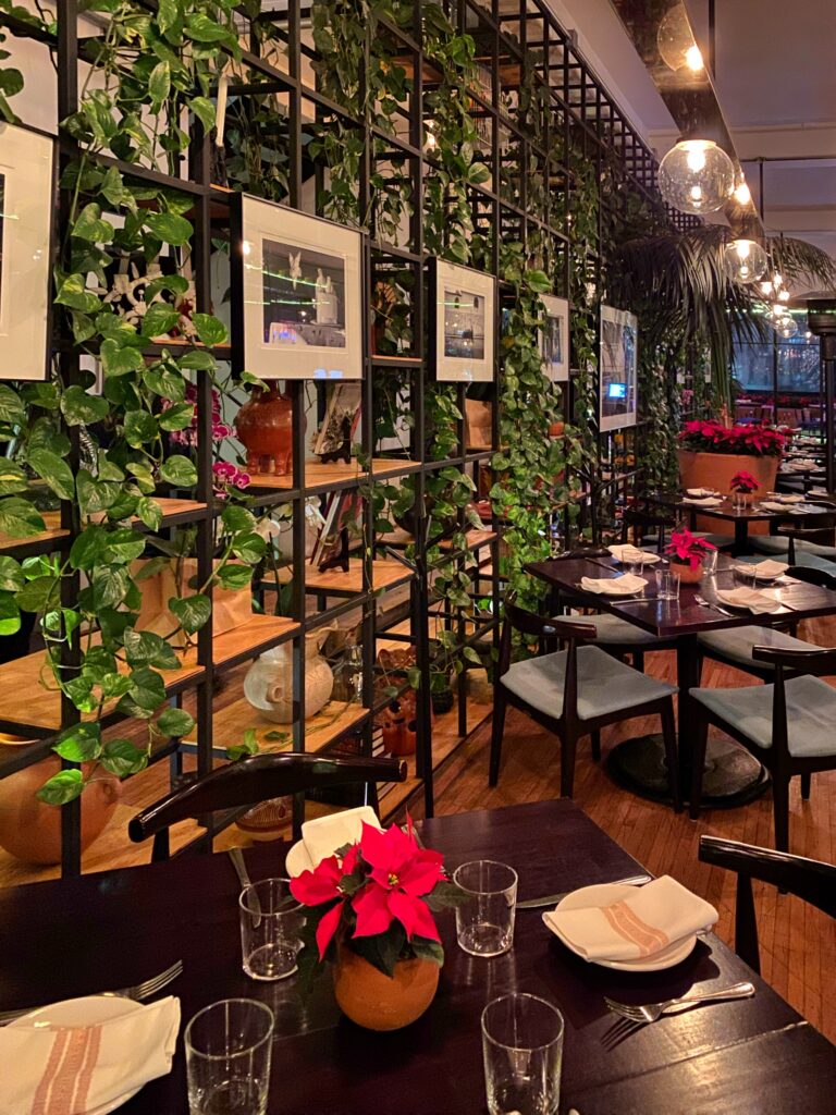 Dining room at Cha Cha Chá restaurant in Mexico City with black metal shelving, trailing greenery, framed artwork, warm globe lighting, and dark wood tables set for service. The layered plants, pottery, and polished restaurant styling create a lush, intimate Mexico City dining atmosphere.