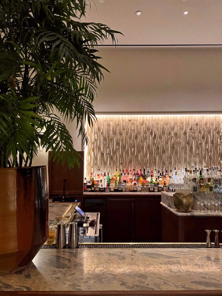 Palma Bar at Proper Hotel Santa Monica with a large potted palm in the foreground, a marble countertop, rows of liquor bottles, and glassware arranged along the back bar. A softly lit textured wall, dark wood cabinetry, and warm ambient lighting create a polished hotel bar interior.